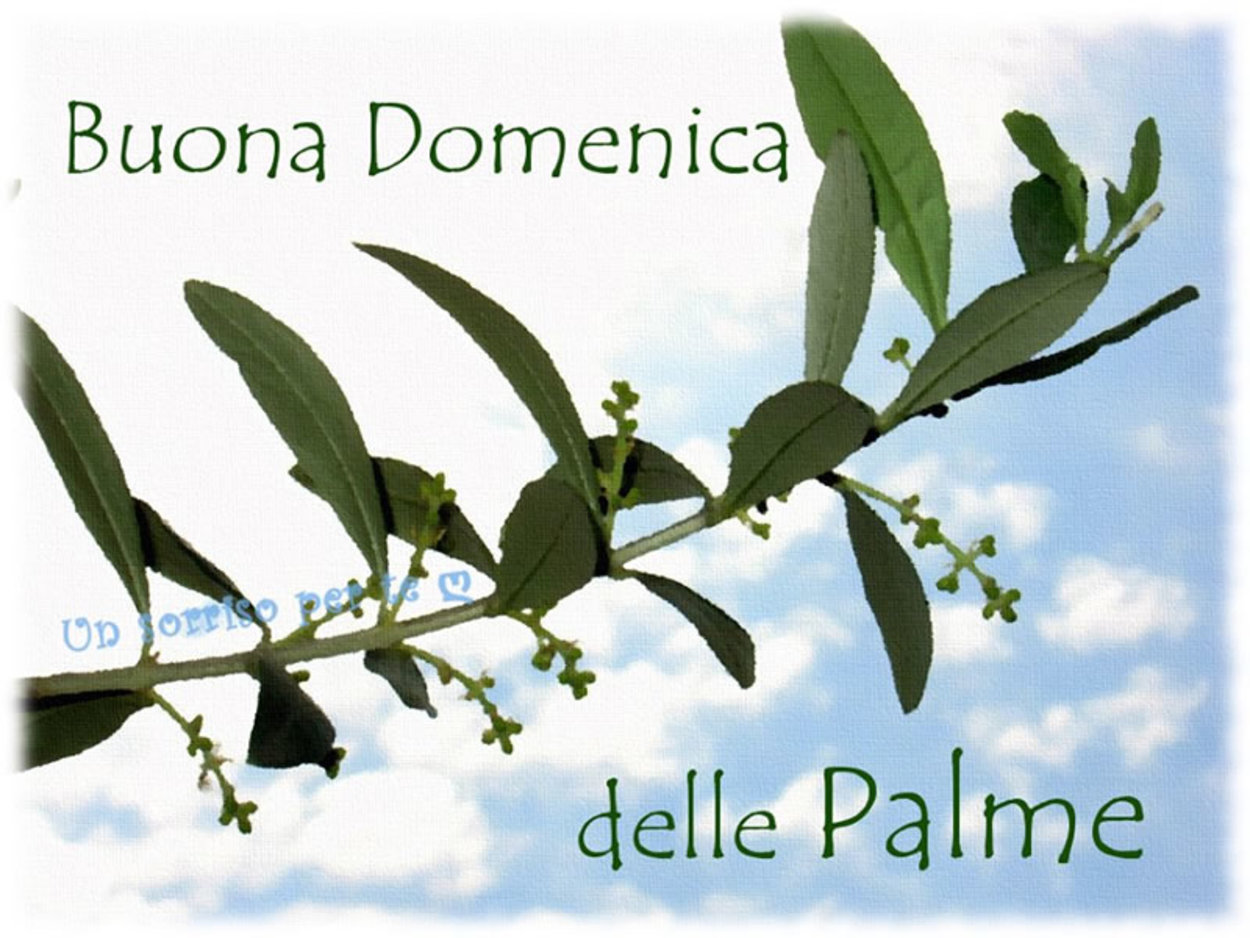 Buona Domenica delle Palme immagini sacre 513