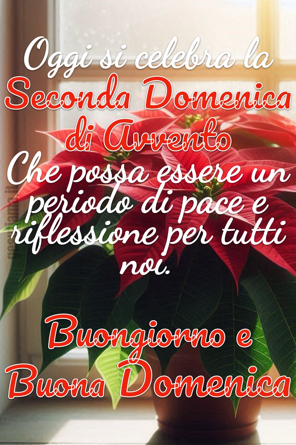 Oggi si celebra la Seconda Domenica di Avvento. Che possa essere un periodo di pace e riflessione per tutti noi. Buongiorno e Buona Domenica