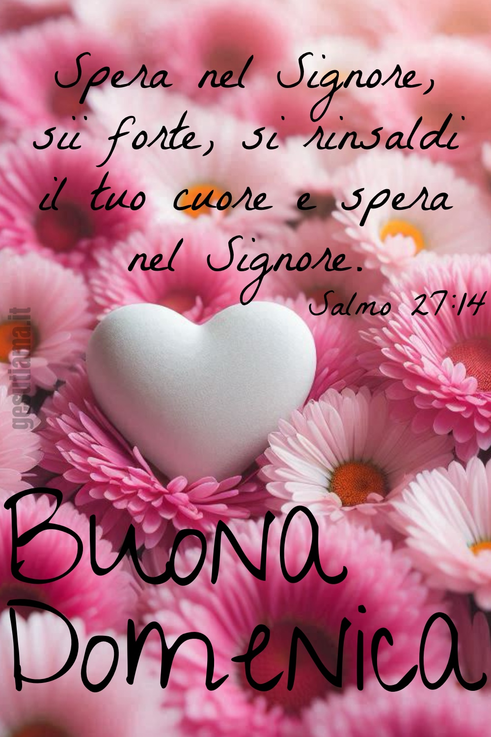 Spera nel Signore, sii forte, si rinsaldi il tuo cuore e spera nel Signore. Salmo 27:14 Buona Domenica